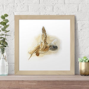 May include: A watercolor painting of a sea turtle swimming in the ocean. The turtle is brown and has a light brown shell. The background is a light brown color.
