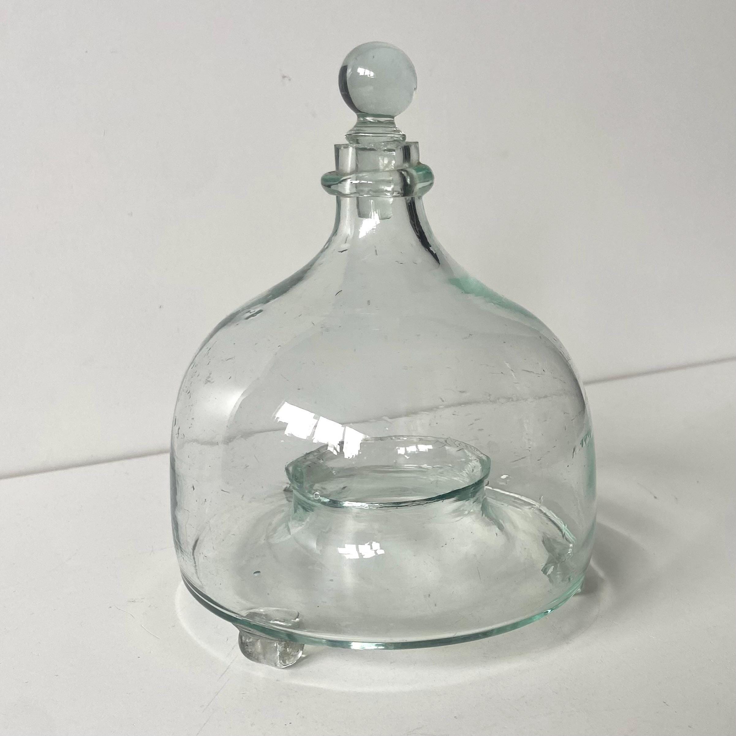 Blown Glass Fly Trap - Etsy