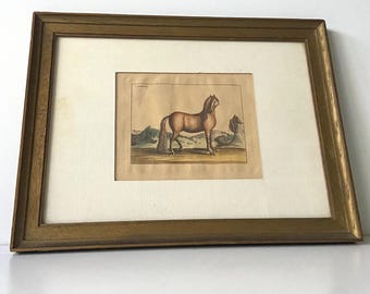 銅版画 - エッチング - ドイツの馬、1733年 - 書籍「L'art de monter