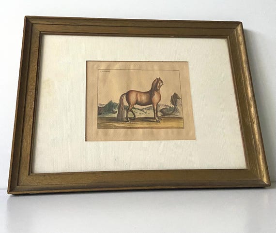 銅版画 - エッチング - ドイツの馬、1733年 - 書籍「L'art de monter