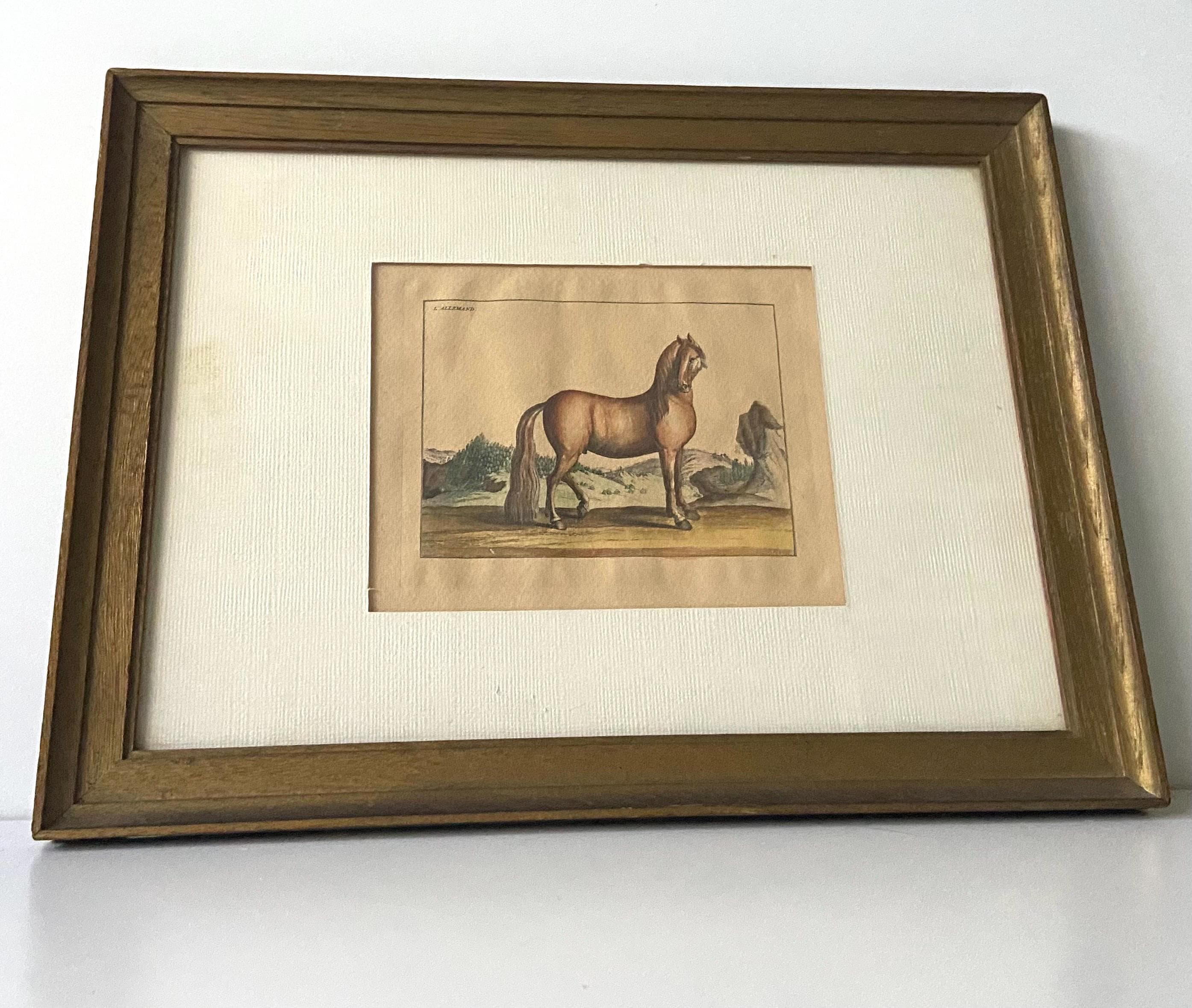 銅版画 - エッチング - ドイツの馬、1733年 - 書籍「L'art de monter