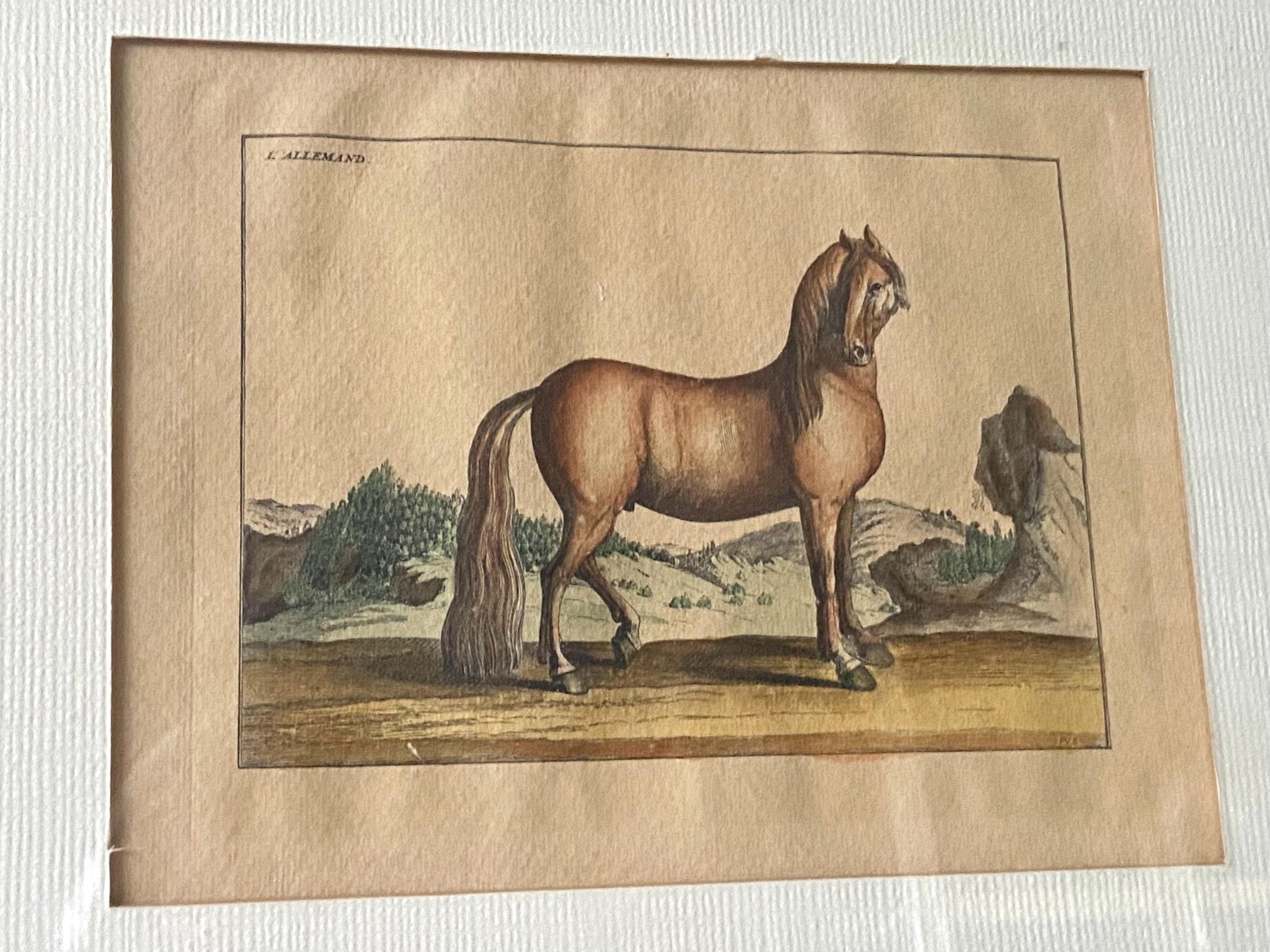 銅版画 - エッチング - ドイツの馬、1733年 - 書籍「L'art de monter