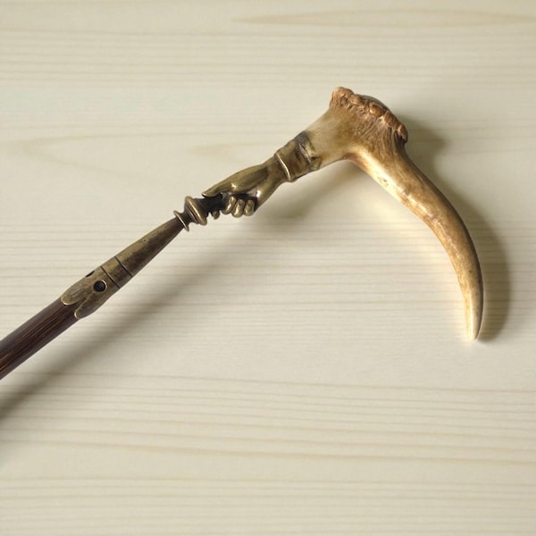 Antique cane - 19th century - Horn, Brass and wood - Most likely Germany