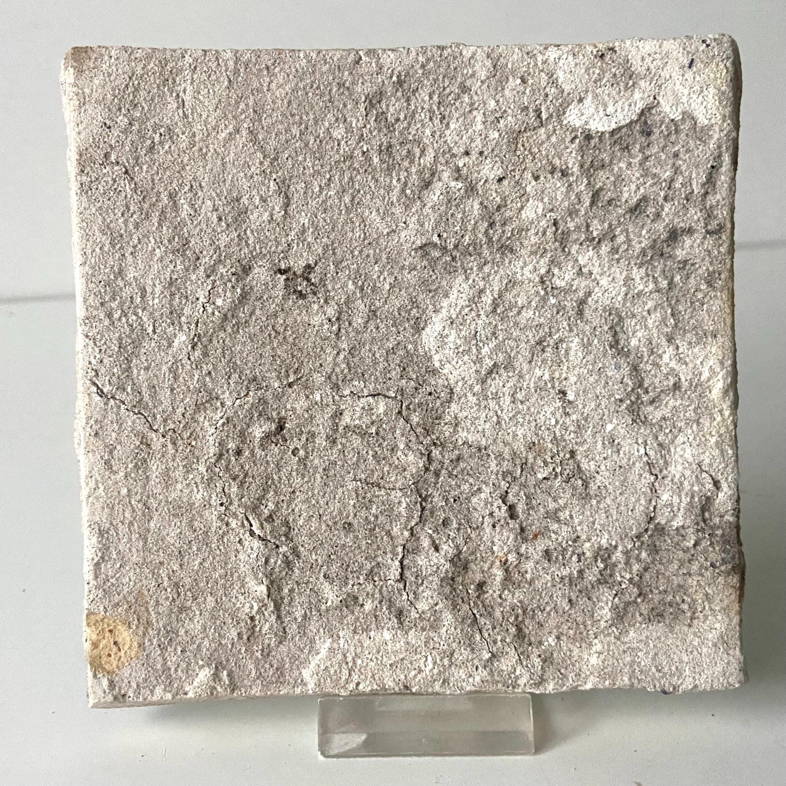17 世紀のデルフト タイル - 雄鶏 - 青と白 - デルフト焼き