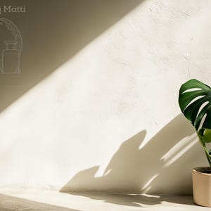 Pode incluir: Uma grande planta monstera verde em um vaso bege fica em uma sala com uma parede branca e a luz do sol entrando.