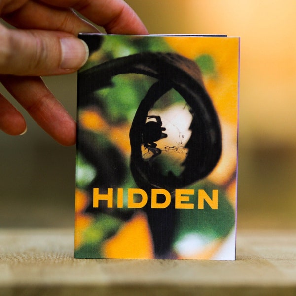 Hidden Beauty - a Poetry and Photography Folded Minizine