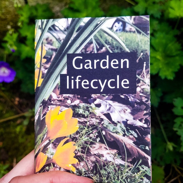 Garden Lifecycle - Winter Plants Positive Poetry, Mini Zine