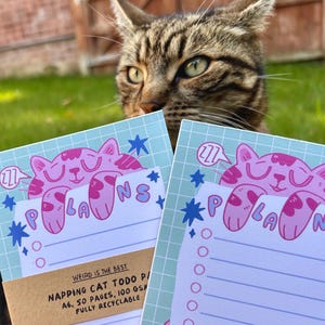 K&ouml;nnte beinhalten: Zwei hellblaue Notizbl&ouml;cke mit einer rosa Schlafkatzen-Grafik und dem Wort "PLANS". Die Notizbl&ouml;cke haben ein Listenformat und werden vor einer getigerten Katze gehalten. Der Text "WEIRD IS THE BEST" ist sichtbar.