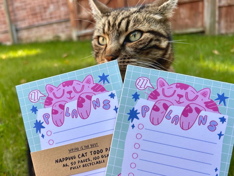 K&ouml;nnte beinhalten: Zwei hellblaue Notizbl&ouml;cke mit einer rosa Schlafkatzen-Grafik und dem Wort "PLANS". Die Notizbl&ouml;cke haben ein Listenformat und werden vor einer getigerten Katze gehalten. Der Text "WEIRD IS THE BEST" ist sichtbar.