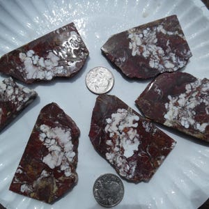 May include: Five irregular, flat slabs of dark reddish-brown stone with white, cloud-like inclusions. Two silver-colored United States quarters are placed among the stones for scale, each measuring approximately 0.955 inches in diameter.