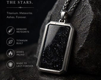 Titan Hundemarke Anhänger: Meteorit Staub Inlay