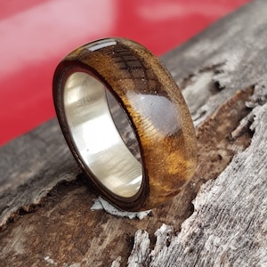 Hölzerne Hochzeitsband, Golden Phoebe Holz auf massive Silber Gericht Form Band