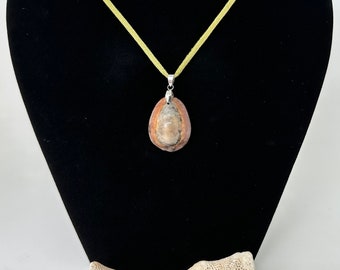 Cowrie shell necklace, olive green suede cord, genuine natural cowrie shell from Maui, tropical jewelry, beach necklace, hand made in Hawaii