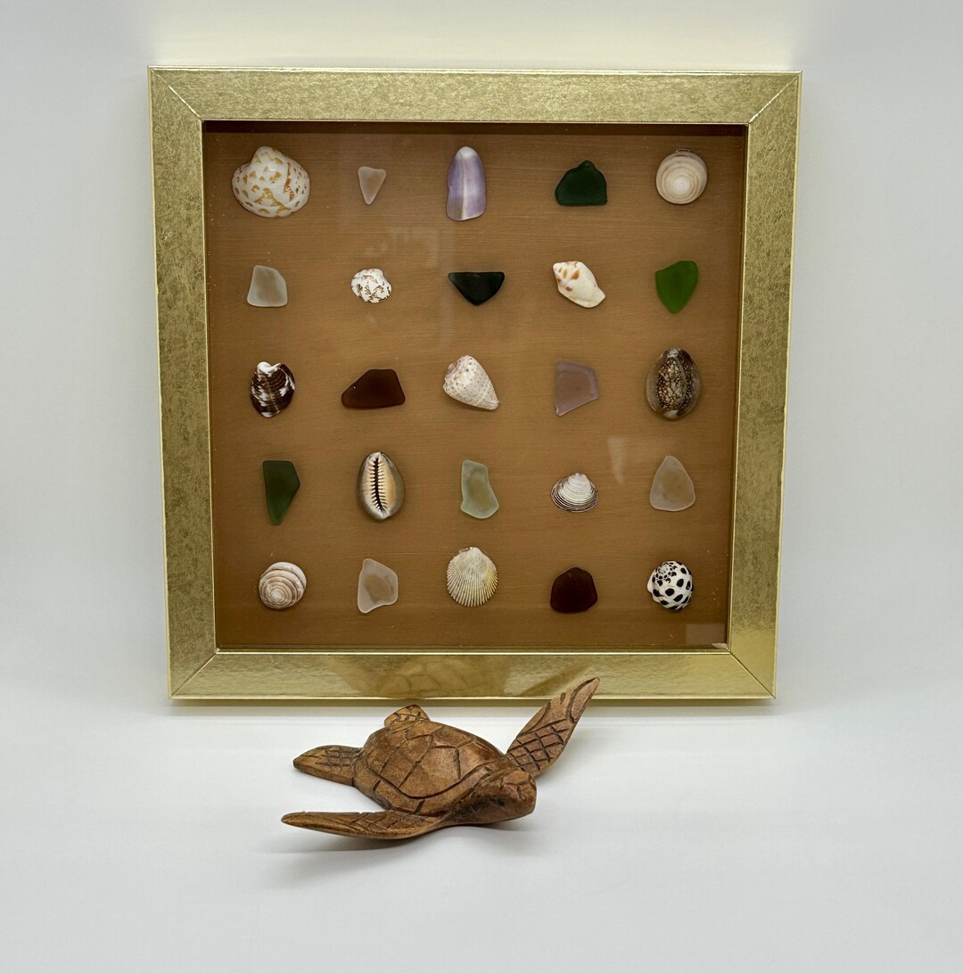 Maui Sea Shell Shadow Box, Sea Glass Shadow Box, Handmade on Maui