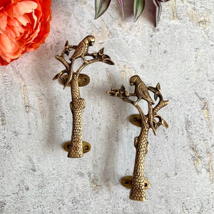 May include: Two brass door handles shaped like a parrot perched on a tree branch. The handles are a warm gold color and have a detailed design.