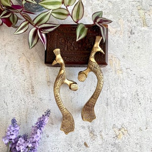 Peacock 8&quot; Inch Brass Door Handles Pack of 2, Cabinet handles, Handmade door pulls, Home decor gift,