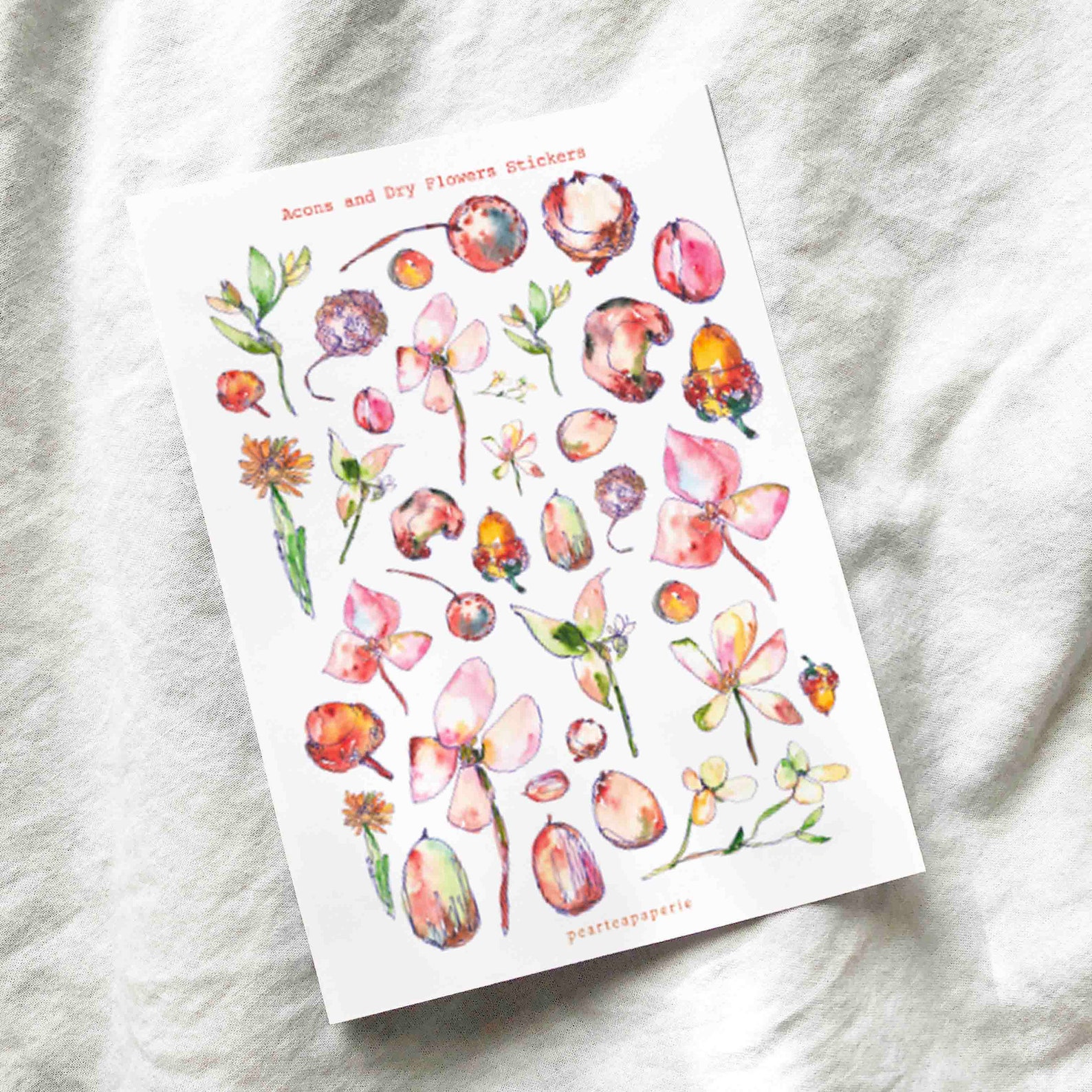 acorns and dry flowers stickers etsy
