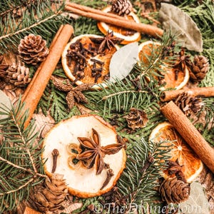 May include: Aromatic arrangement featuring dried orange slices, star anise, cloves, cinnamon sticks, and pine cones, nestled among evergreen sprigs. The warm tones of the spices contrast with the green foliage, creating a festive and natural display.