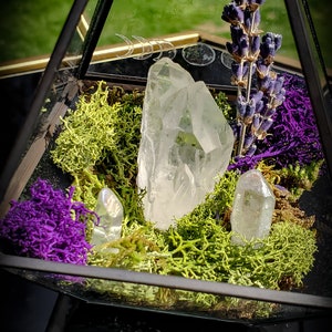 Moon Crystal Garden, Diamond Terrarium, Aura Quartz Point, Crystal Terrarium, Spell Garden, Protection Garden, Divine, Elements. image 6