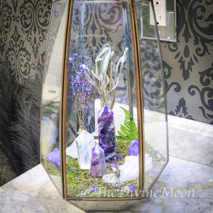 Amethyst Aura Quartz Crystal Garden – Hexagon Glass Display with Moss & Lavender – Elemental Decor – DIY Crystal Arrangement Kit