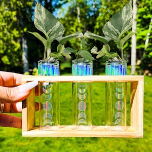 Moon Propagation Station - 3 Test Tube Holder for Propagating Plant Cuttings in Water - Plant Room Décor - Plant Lover Mom Gift Idea,