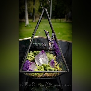 Moon Crystal Garden – Amethyst Terrarium Decor – Hanging or Standing Glass Display – Moss & Stone Arrangement – Nature-Inspired Gift