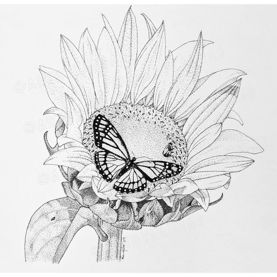 Sunflower And Butterfly Drawing My XXX Hot Girl