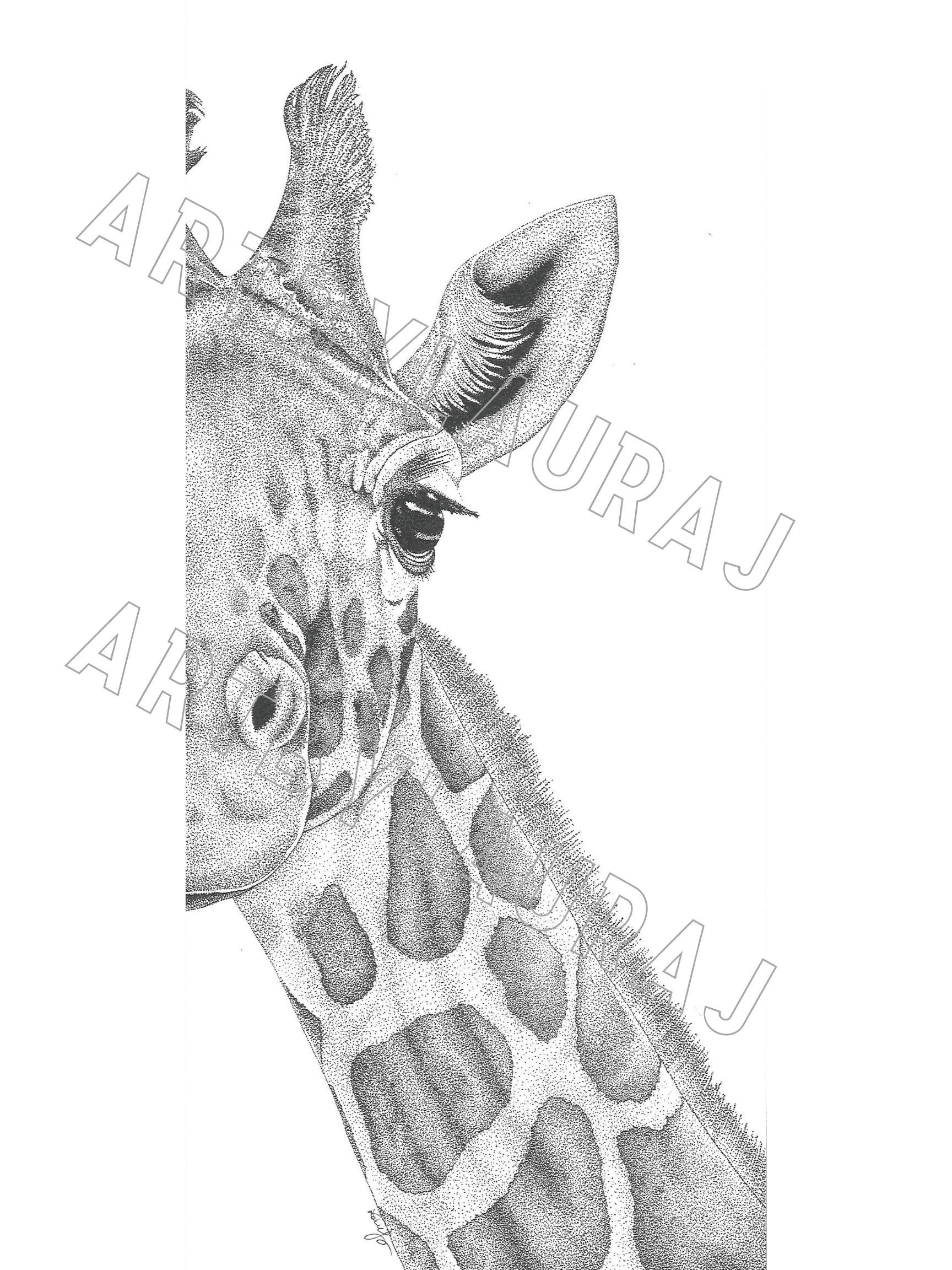 Single Wild Animal Art Print Etsy Tiger zoo wild animal wallpapers animals