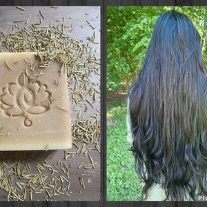 Rosemary tea Shampoo Bar, All natural, Handmade.