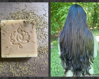 Rosemary tea Shampoo Bar, All natural, Handmade.