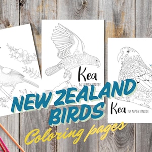 New Zealand Birds Coloring Pages: Hand-Drawn Native Designs (Digital Download)