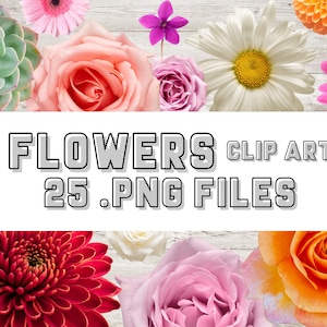 Blumen | fotografische digitale Clip Art | 25 .png Dateien | um 4 cm groß