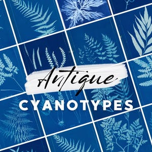 Lot de 20 cliparts fougères cyanotypés vintage - 20 impressions numériques pour journaux indésirables