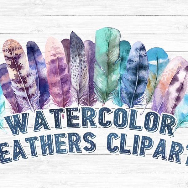 Watercolor feathers clip art, hand painted feathers, instant download