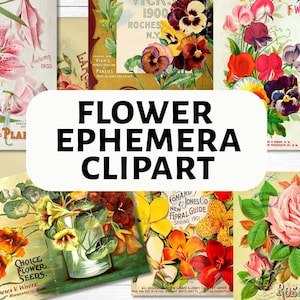 Fleurs éphémères | clipart numérique | 50 fichiers .png | environ 5 pouces de hauteur | Images de journaux indésirables