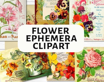 May include: Vintage flower ephemera clipart images. The images feature various flowers, including lilies, pansies, sweet peas, and roses. The images are in a variety of colors, including pink, red, yellow, and blue. The images are from old seed packets and floral guides.