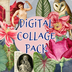 Imágenes de collage digital / 200 imágenes .png vintage extravagantes para collage digital / Imágenes de diario basura