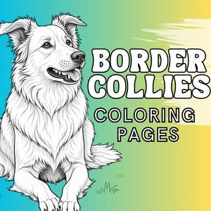 May include: Black and white line drawing of a Border Collie dog sitting with its tongue sticking out. The image is titled "Border Collies Coloring Pages".