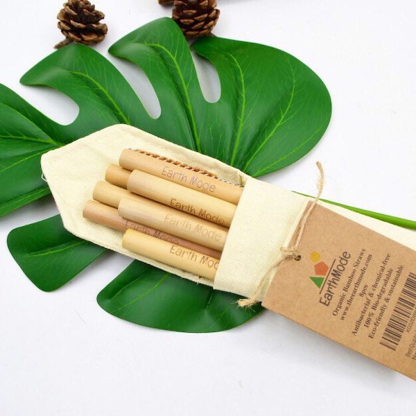 Bamboo Straws Zero Waste Kit- Reusable Bamboo Straw Set with Coconut Cleaning Brush and Reusable Straws Bag, Eco friendly Bamboo Cutlery Set