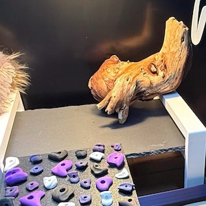May include: A reptile habitat setup featuring a natural wood branch on a platform, climbing holds in various colors, and a fuzzy light fixture. The background is black with white text. The setup is designed for a reptile.