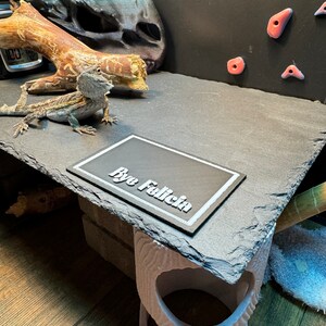 NEW Bearded Dragon Reptile Enclosure Decor Welcome Mats 3D Printed