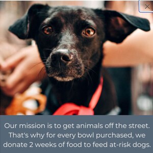 Pu&ograve; includere: Primo piano di un cane nero con occhi marroni che indossa un collare rosso. Il cane sta guardando direttamente la telecamera. Il testo "Our mission is to get animals off the street. That's why for every bowl purchased, we donate 2 weeks of food to feed at-risk dogs." &egrave; sotto l'immagine.