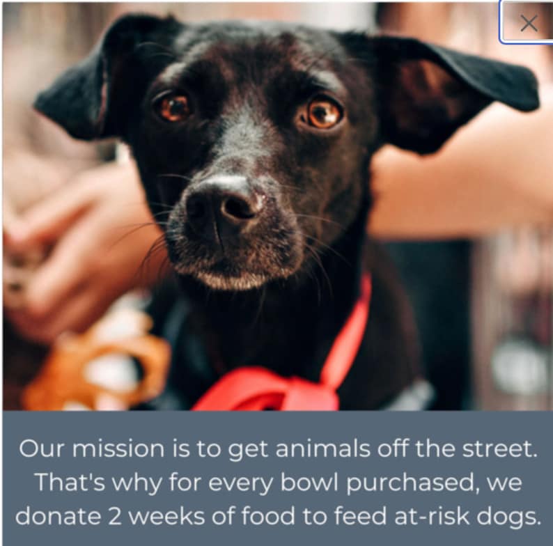 Pu&ograve; includere: Primo piano di un cane nero con occhi marroni che indossa un collare rosso. Il cane sta guardando direttamente la telecamera. Il testo "Our mission is to get animals off the street. That's why for every bowl purchased, we donate 2 weeks of food to feed at-risk dogs." &egrave; sotto l'immagine.
