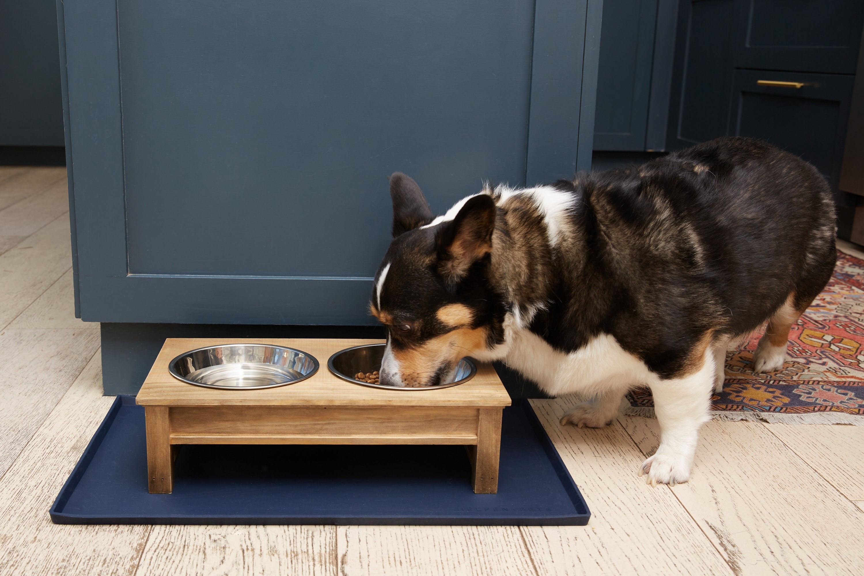 Extra Large Pet Feeding Bowl Mat with Logo - Food Grade Silicone - Hygienic  and Safe for Allergic Dogs and Cats - Prevent Pet Water Food Spills 