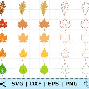 May include: A collection of colorful leaf designs in various shapes and shades, including brown, orange, yellow, and green. The leaves are both solid and outlined, perfect for fall-themed crafts and designs. The image also includes the text "SVG | DXF | EPS | PNG".