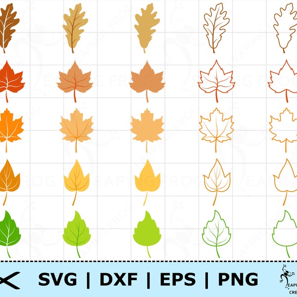 Fall leaves SVG. PNG. Cut, layered files. Cricut, Silhouette, Cameo, etc. Bundle, Set. Autumn, Fall, Bundle, Set. Instant download!
