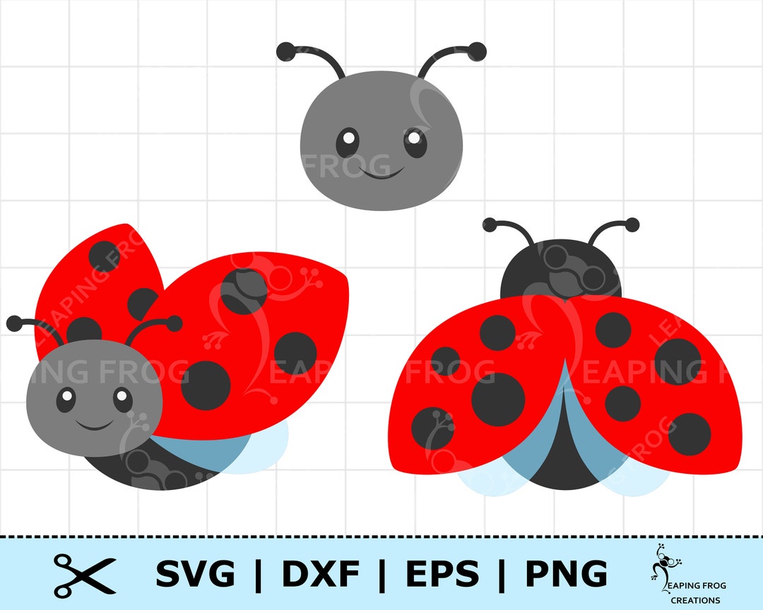 Cute Ladybug SVG. Ladybug Set Svg. PNG DXF. Eps. Cricut Cut Files ...