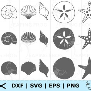 Conchas marinas SVG. Archivos de corte Cricut. Archivos en capas. Silueta. DXF. PNG. eps. Descarga digital. Conchas de mar svg. Conchas de mar png. Playa svg.