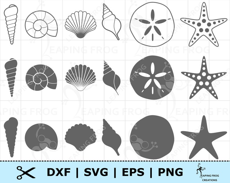 Seashells SVG. Cricut cut files. Layered files. Silhouette. DXF. PNG. eps. Digital download. Sea shells svg. Sea shells png. Beach svg. zdjęcie 1