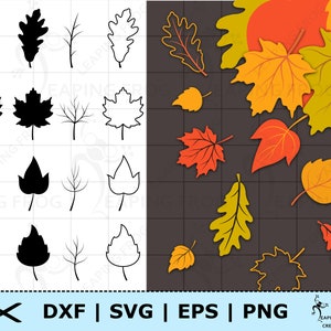 May include: A set of 10 autumn leaf SVG cut files. The leaves are in black and white outlines and are arranged in a grid. The leaves are of various shapes and sizes, including oak, maple, and birch. The image also includes a set of colorful autumn leaves in the background.